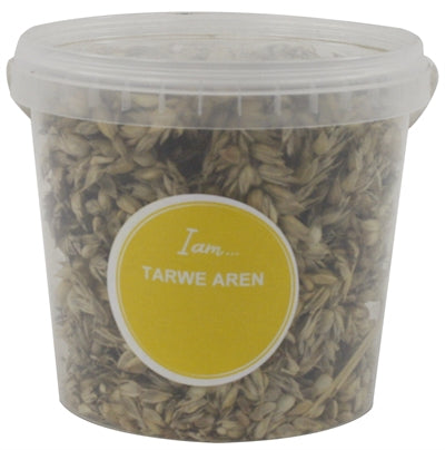 Tarwe aren