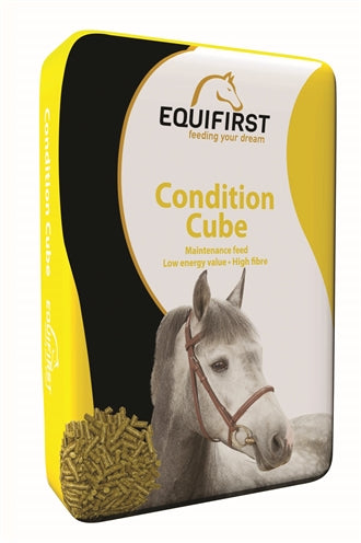 Cubo de condición de Equifirst