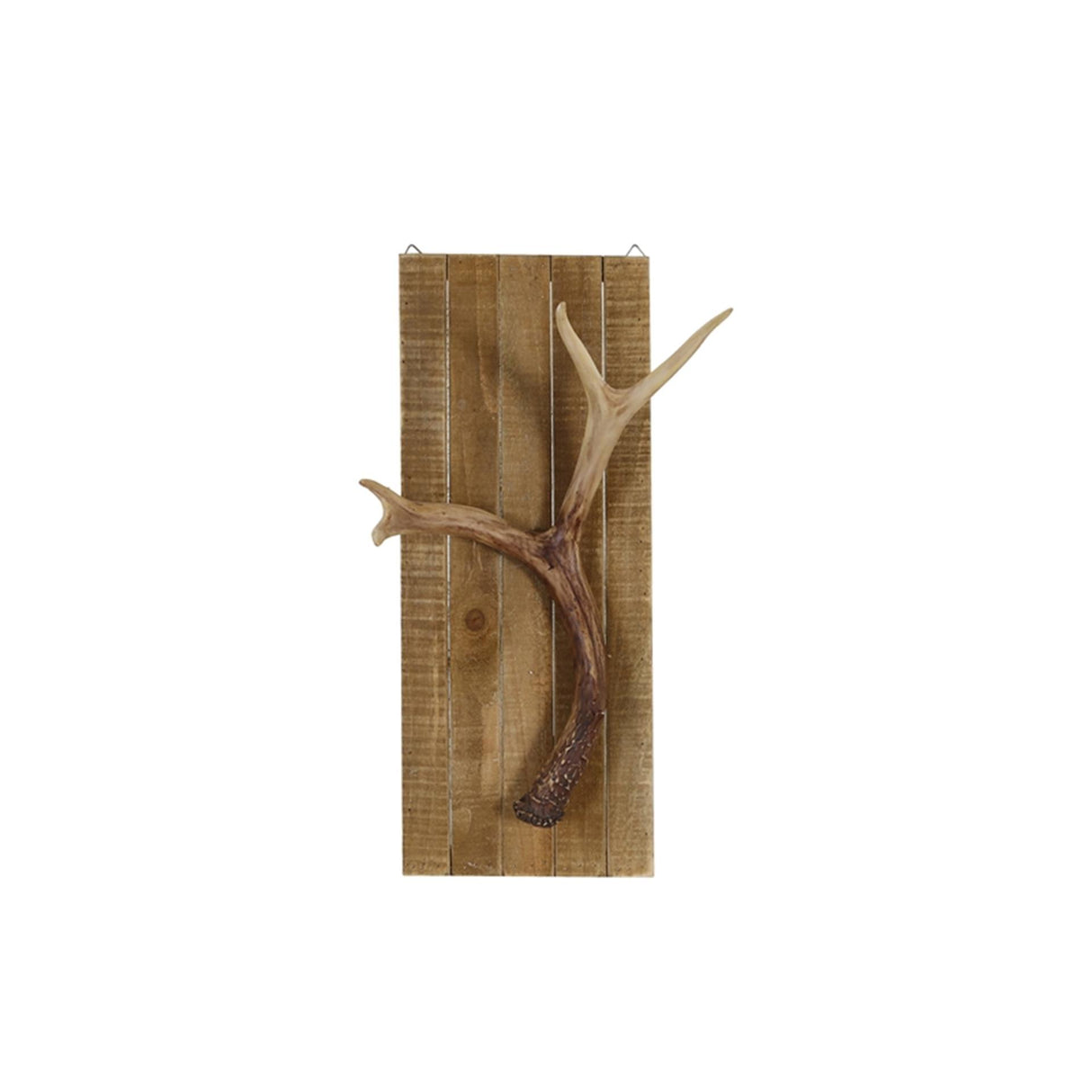 Naturel collections dijk natural collections wanddecoratie gewei polyresin op hout , doos a 2 stuks