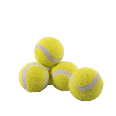 Rosewood Jolly Doggy Tennisball Mini