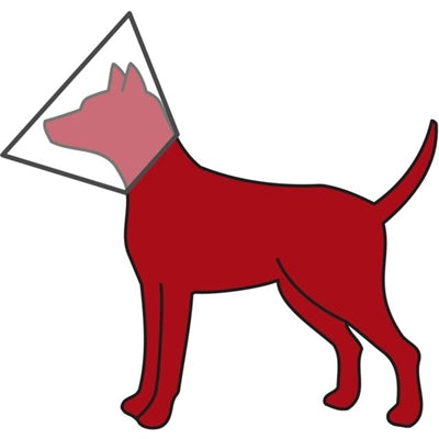 Trixie beschermkraag met klittenband kunststof transparant