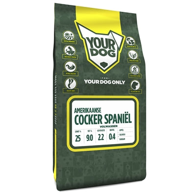 Votre cocker américain Spani adulte