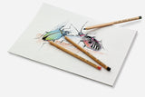 Faber-castell pastelpotloden pitt - 12 stuks - fc-112112