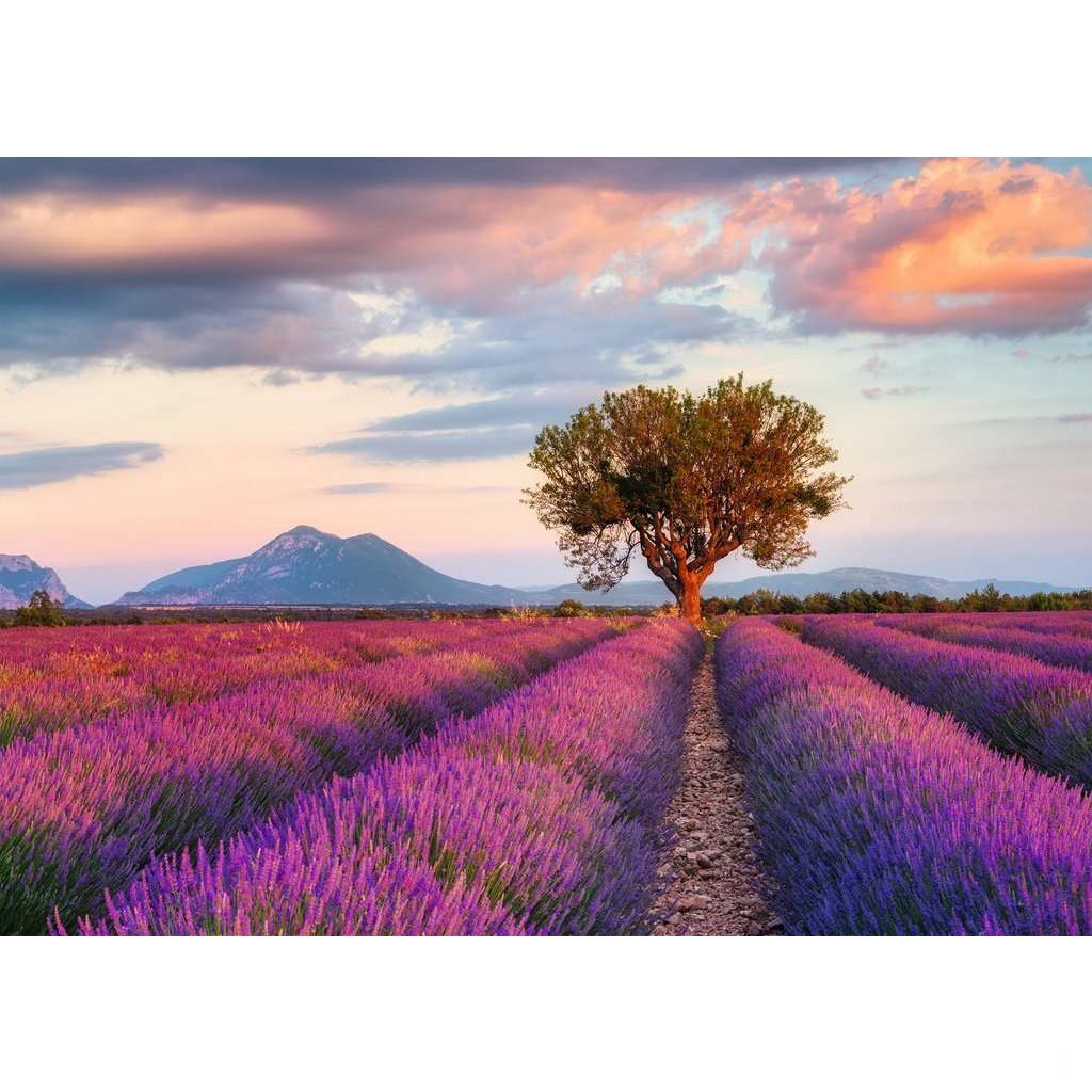 Ravensburger Puzzle Lavendel Fields 1000 stykker