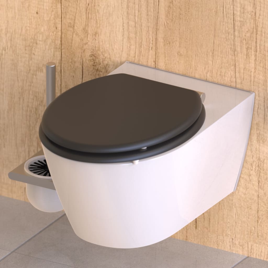 Schütte schütte toilet de toilette spiritueux Athrazit avec un matantracite à fermeture douce