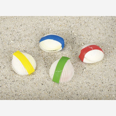 Goki magische schelp. 4 cm. 4 assortie. | 12 stuks