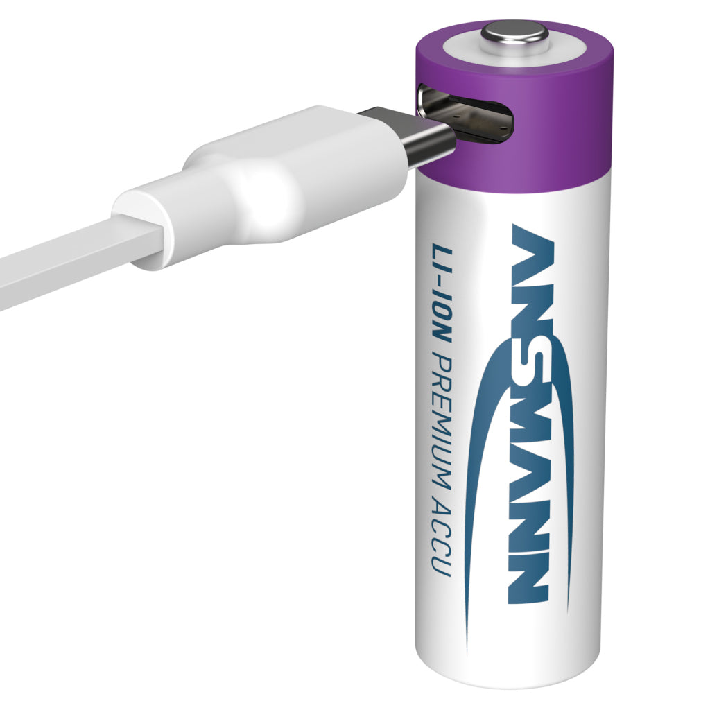 Ansmann ricaricabile pipistrello AA e USB-C