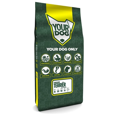 Yourdog Yorkshire terrible adulte