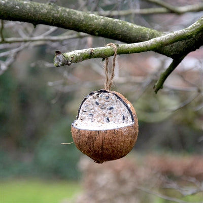 Best for birds coconut filled with fat