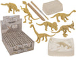 Dsp opgravingsset, dinosaurusskelet, 4x8 | 36 stuks