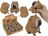 Dsp squeezie capybara. 12 stuks in dsp.