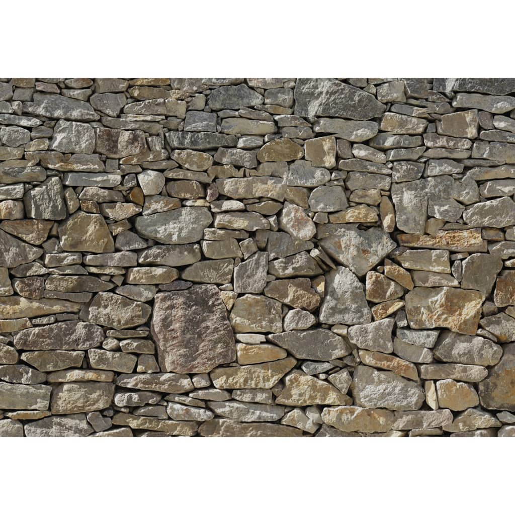 Komar Komar Photo Tapeta Stone Wall 368x254 cm 8-727