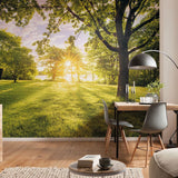 Komar Komar Photo Wallpaper Golden Moment 400x250 cm