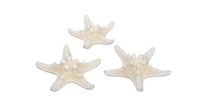 Pb. 24 knobby starfish natural 5-7 cm