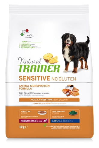 Naturlig tränare hund vuxen medium maxi känslig lax gluten -fri