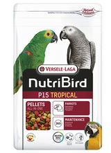 NutriBird P15 Tropska vzdrževalna krma