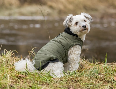 Trixie Dog Jacket Arlay Verde oscuro