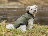 Trixie dog jacket arlay dark green