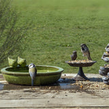 Najlepsze dla ptaków Bird Bath wokół ceramiki zielonej