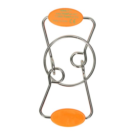 Thinkfun hersenkraker wing it