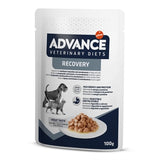 Advance Veterinary Diet Dog Cat Recovery Recovery