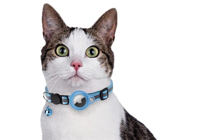 Croci Collar Cat s držákem značek světle modrá