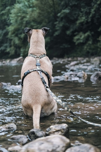 Morso Hondhändchen h - hirem recycléiert vollem Metal Hond Brown