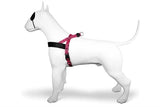 Morso norwegian hondentuig gerecycled bubble leo roze