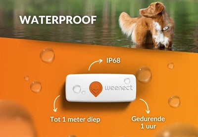 Weenect weect tracker chien blanc