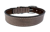 Sazzz Collar Hond Nomad Vintage Liederbrong