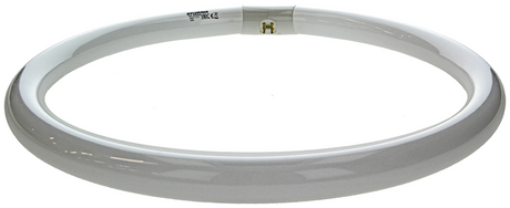 Sylvania 1044512 - tl lamp circlin 40w koud wit 842 | 3 stuks
