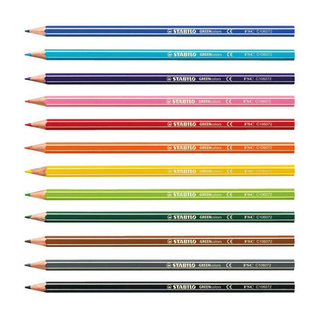 Abi stlo greencolors arty kleurpotloden etui a 12 stuks