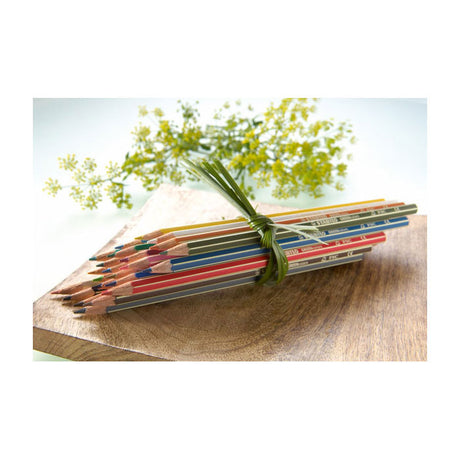 Abi stlo greencolors arty kleurpotloden etui a 12 stuks