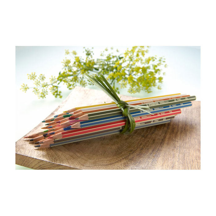 Stabilo greencolors - kleurpotloden - arty - set 12 stuks