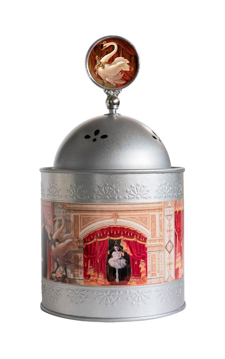Sb06 secret music box: swan lake. 14+ | 2 stuks