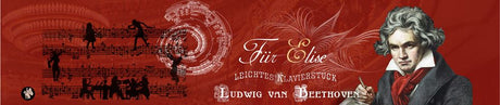Rondo07 muziekje: beethoven portrait (fu | 2 stuks