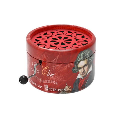 Rondo07 muziekje: beethoven portrait (fu | 2 stuks