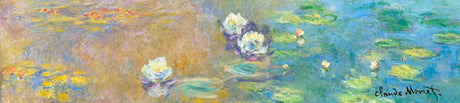 Brillygv2 muziekje: monet nympheas. (la