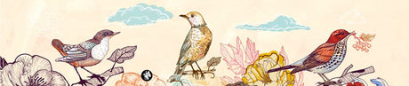 Rondo muziekje: birds 02 (mozart lullab)