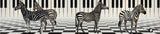 Rondo48 muziekje: zebra 01 (frére jacque