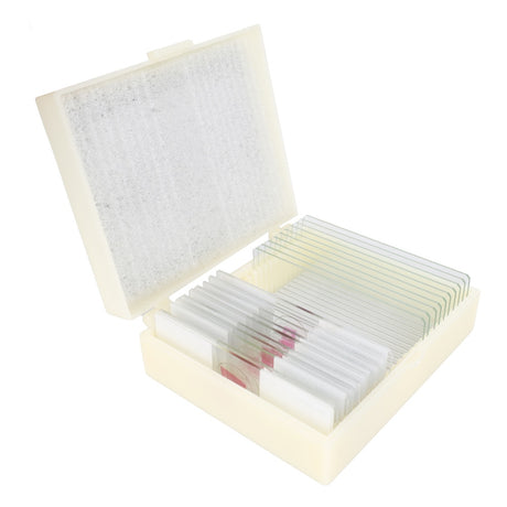 Konus preparaten set bacterieën, simpele organismen (10 stuks)