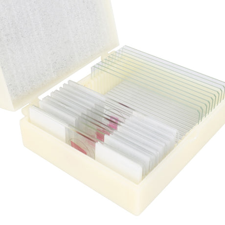 Konus preparaten set bacterieën, simpele organismen (10 stuks)