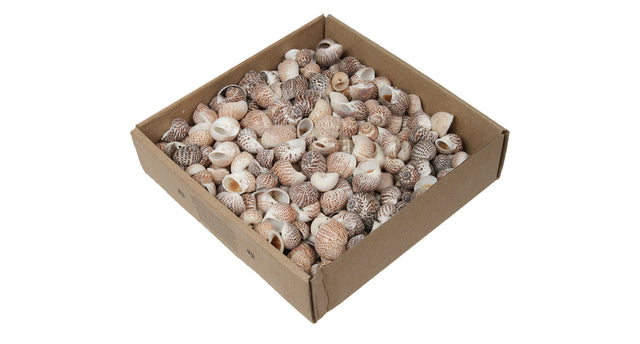 W b. pull muttai natural 620 gr.