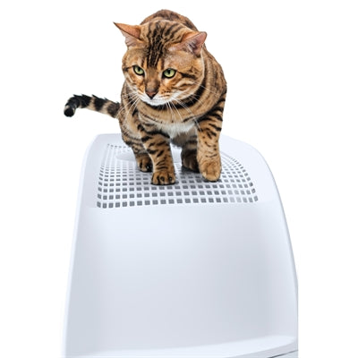 IMac litter box frida with drawer green