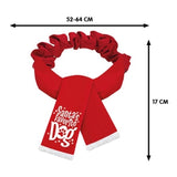 Plenty Gifts Christmas scarf Santa's Favorite Dog Red