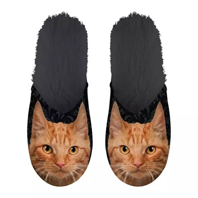 Slipper naranja gato negro