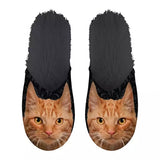 Slipperorange Katze schwarz