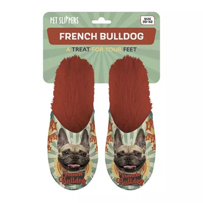 Slippel French Bulldog fransk bulldogg Oranje