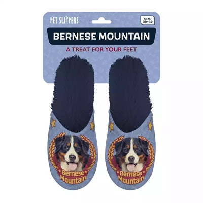 Rutsche Bernesa Mountain Hond donkel blo