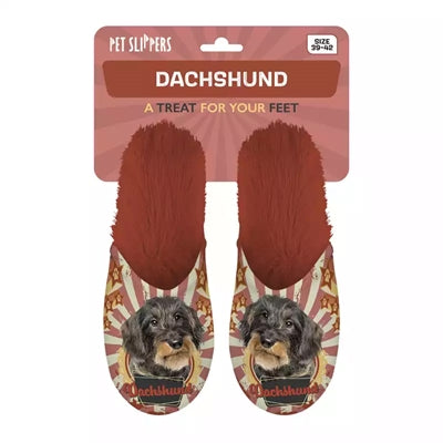 Slippel Dachshund Deckel Oranje